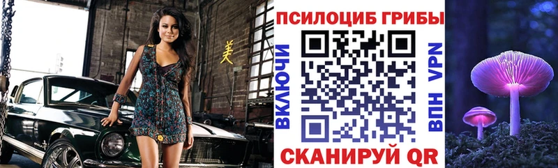 Купить закладки  Усолье  Псилоцибиновые грибы Cubensis 